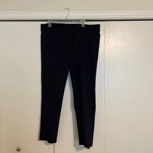 Loft Marisa Navy Skinny Pant